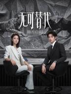 《无可替代》电视剧免费